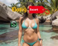 Elazığ Swinger Çift Escort - Elazığ Escort - Gerçek Elden Bayan - Elazığ Escort Kızlar Elazığ Swinger Çift Escort - Elazığ vip Escort