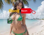 Elazığ Escort Kerhane Bayanları - Elazığ Escort - Gerçek Elden Bayan - Elazığ Escort Kızlar Elazığ Escort Kerhane Bayanları - Elazığ anal oral yapan escort