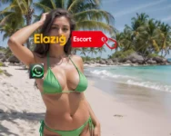 Elazığ Escort Merkez Üniversiteli Kızlar - Elazığ Escort - Gerçek Elden Bayan - Elazığ Escort Kızlar Elazığ Escort Merkez Üniversiteli Kızlar - Elazığ Azgın Sınırsız Escort