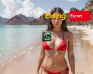 Elazığ Escort Cimcif Yapan Bayan - elazığ kondomsuz escort