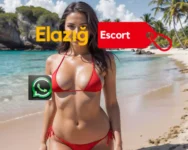 Elazığ Garaj Escort Yabancı - Escort Elazığ Göçmen