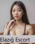 Elazığ Estetiksiz Escort Bayan - escort elazığ