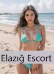 Elazığ Tek Seanslık Escort Bayan - Elazığ Escort - Gerçek Elden Bayan - Elazığ Escort Kızlar Elazığ Tek Seanslık Escort Bayan - elazığ uygun escort